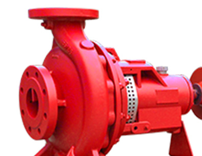 Bare shaft pump